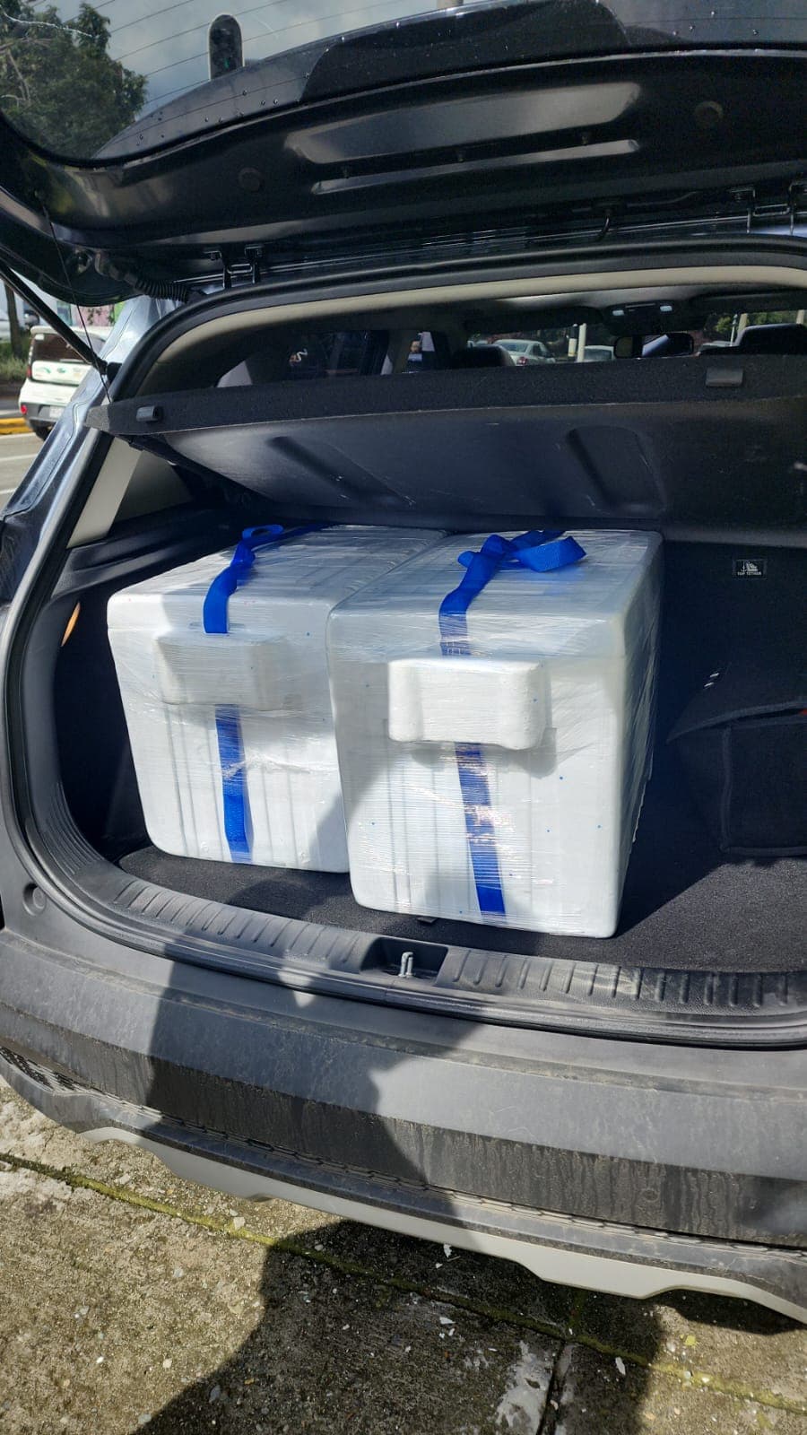 Preparación artesanal de ingredientes naturales